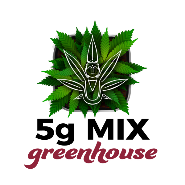 Mix Weed CBD GreenHouse 5g - Purple, Waffle, Green Poison, Gelato - pensato per offrirti un'esperienza ineguagliabile di relax. Spedizioni in 24/48h