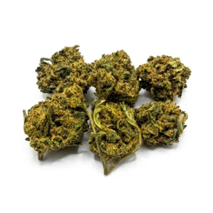 Bubble Gum Small Bud