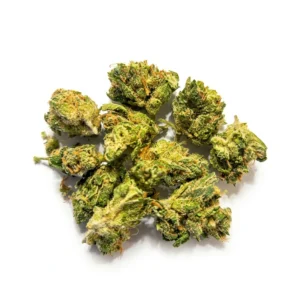 Mix CIMETTE Indoor