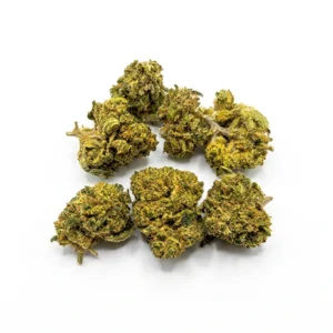 Mix CIMETTE Outdoor