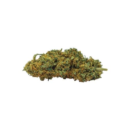 erba cbd - cbd weed - canapa - cannabis - cannabis cbd