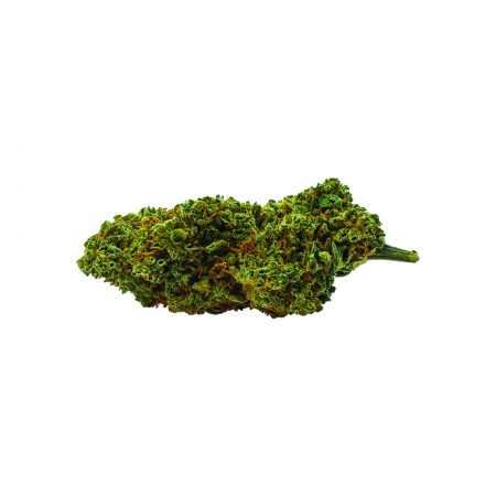 erba cbd - cbd weed - canapa - cannabis - cannabis cbd