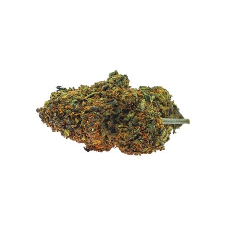 erba cbd - cbd weed - canapa - cannabis - cannabis cbd